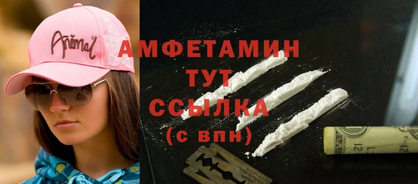PSILOCYBIN Белокуриха