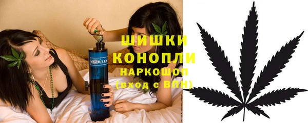 PSILOCYBIN Белокуриха