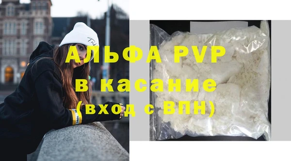 ПСИЛОЦИБИНОВЫЕ ГРИБЫ Белоозёрский
