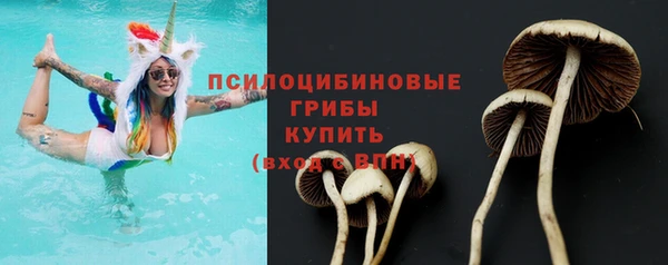 PSILOCYBIN Белокуриха