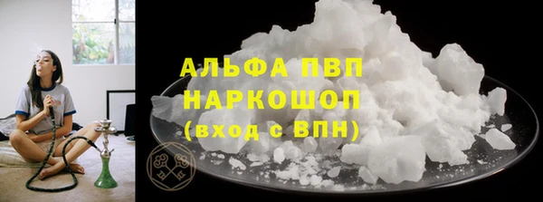 ПСИЛОЦИБИНОВЫЕ ГРИБЫ Белоозёрский