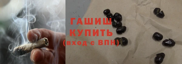 PSILOCYBIN Белокуриха