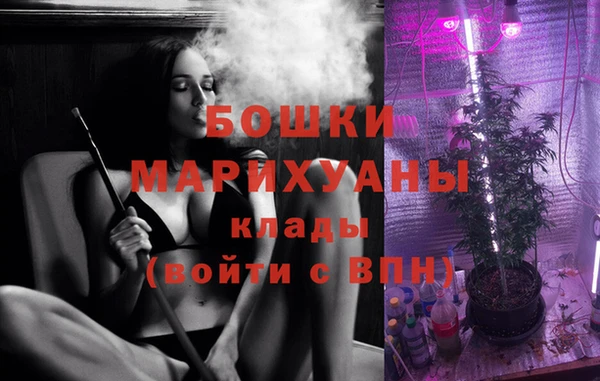PSILOCYBIN Белокуриха