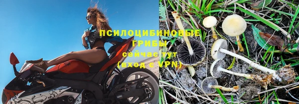 ПСИЛОЦИБИНОВЫЕ ГРИБЫ Белоозёрский