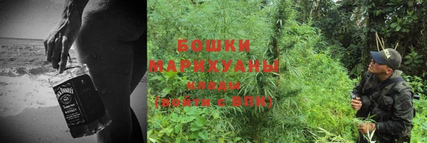 PSILOCYBIN Белокуриха