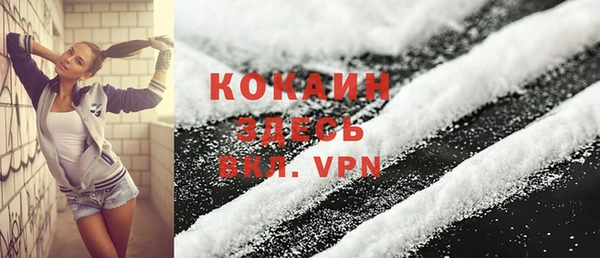 PSILOCYBIN Белокуриха