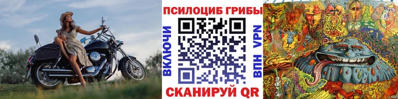 Псилоцибиновые грибы Magic Shrooms  купить наркотики цена  Реж 